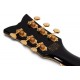 SCHECTER COUPE G BLK pala tras