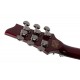 SCHECTER HELLRAISER C-1 FR BCH pala