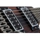 SCHECTER C-1 EXOTIC TREM EBONY body