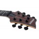 SCHECTER C-1 EXOTIC TREM EBONY pala