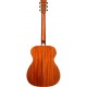 TASMAN TA300O-E FISHMAN TSB tras