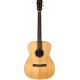 TASMAN TA200O-E FISHMAN SONITONE GT2