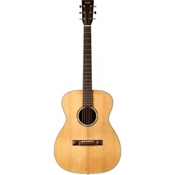 TASMAN TA200O-E FISHMAN SONITONE GT2