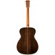 TASMAN TA200O-E FISHMAN SONITONE GT2 tras