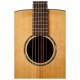 TASMAN TA200O-E FISHMAN SONITONE GT2 boca