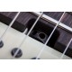 SCHECTER NICK JOHNSTON TRAD USA SSS A SNOW alma