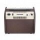 FISHMAN LOUDBOX MINI top