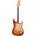 Sienna Sunburst IL