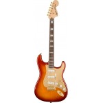 Sienna Sunburst IL