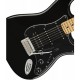 FENDER LTD PLAYER STRATO HSS MP BLK body