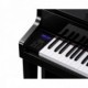 CASIO CELVIANO GRAND HYBRID GP-510