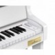 CASIO CELVIANO GRAND HYBRID GP-310WE