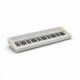 CASIO CT-S1WE CASIOTONE