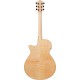 IBANEZ AEG750 NT
