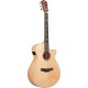 IBANEZ AEG750 NT