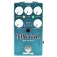 WAMPLER ETHEREAL REVERB Y DELAY top