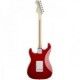 FENDER ERIC CLAPTON STRATO TORINO MP tras