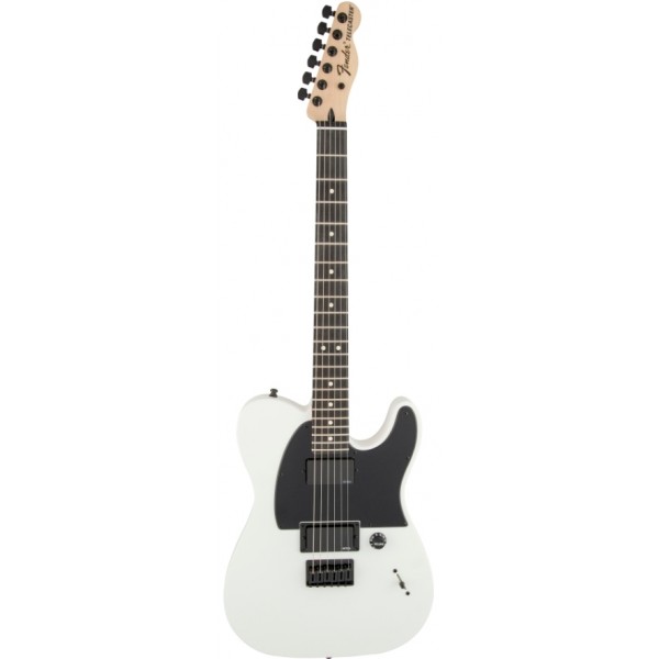 FENDER JIM ROOT TELECASTER