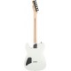 FENDER JIM ROOT TELECASTER tras