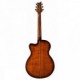 PRS SE A50E NATURAL BG tras