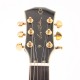 SIRE LARRY CARLTON H7V BLACK pala