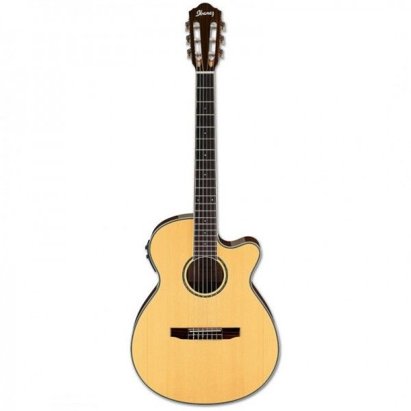 IBANEZ AEG10NII NT