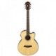 IBANEZ AELBT1 NT BARITONO
