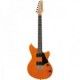 IBANEZ RC220 AAM