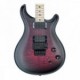 PRS CE DUSTIE WARING CC WARING SMOKEBURST