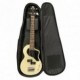 BLACKSTAR CARRY-ON-BASS-GB