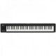 KORG MICROKEY2 61