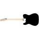 FENDER LTD JACK WHITE TRIPLCASTER BLK FENDER LTD JACK WHITE TRIPLCASTER BLK