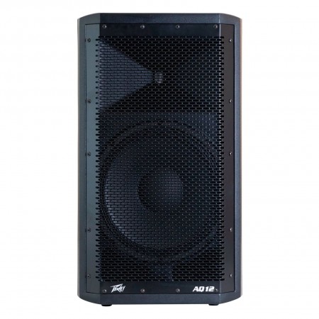PEAVEY AQ 12