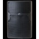 PEAVEY PVX P 15