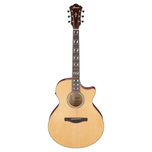 IBANEZ AE170 NTR