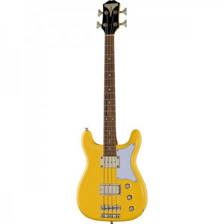 EPIPHONE NEWPORT BASS...