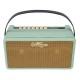 VINTAGE RETRO 25 AMPLIFIER WITH DSP - MINT GREEN