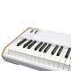 ARTURIA ASTROLAB 88 