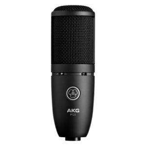 AKG P 120