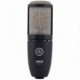 AKG P 220