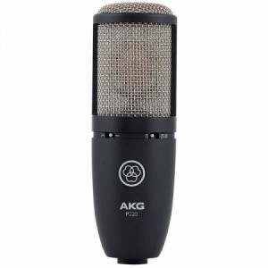 AKG P 220
