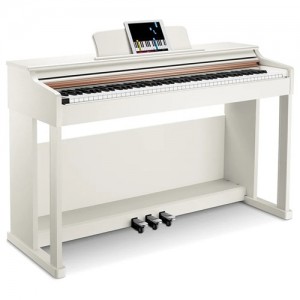 DONNER DDP-100