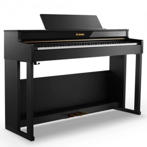 DONNER DDP-400