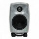 GENELEC 8010ARW