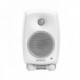GENELEC 8020DWM