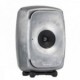 GENELEC 8341 RAW