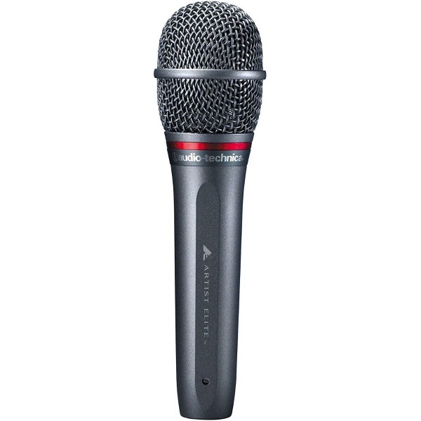 AUDIO-TECHNICA AE6100