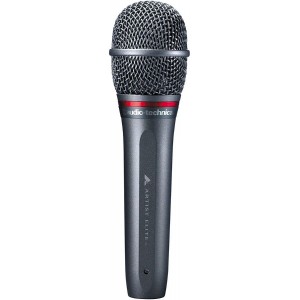 AUDIO-TECHNICA AE6100