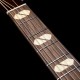 Norman B150 Special 150th Anniversary