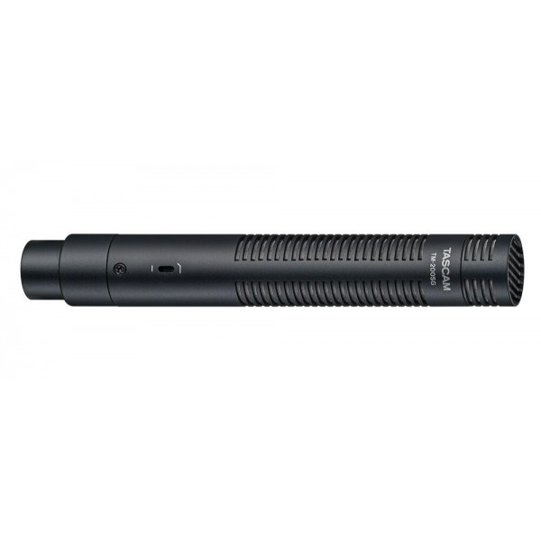 TASCAM TM-200SG